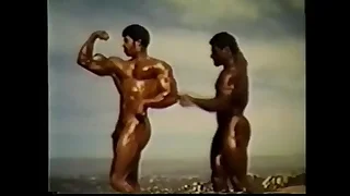 1499 muscle porn videos